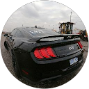 Harinder panesar profile picture